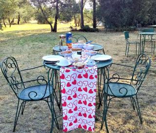 Sunshine Suites - Florencia - 2