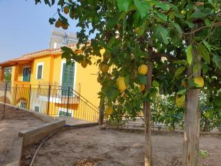 Casa Vacanze Il Frutteto - Massa Lubrense - 9