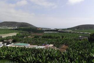 Bonito y amplio piso en Los LLanos de Aridane - 1