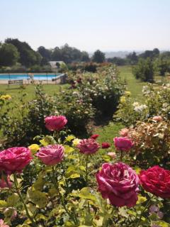 Gite de la roseraie - 6