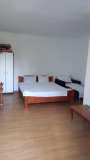 Vila Stefan Pescarusului Costinesti - Costinesti - 9