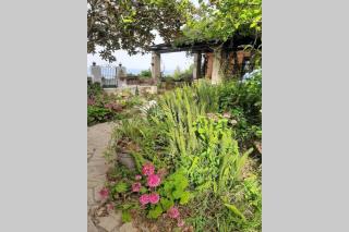 IL GIARDINO BLU OLTREMARE - Exclusive Garden - Procida - 5