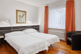 Hotel du Commerce - Basilea - 1