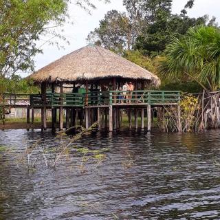 Amazônia LODGE Exxperience - Manaus - 5