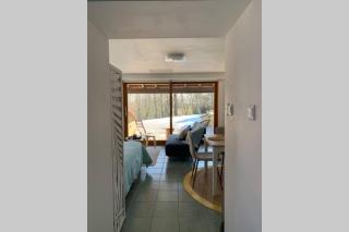 Les Hortensias, charmante petite maison en pierre - 8