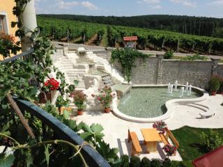 Egri Korona Borház és Wellness Hotel - Demjén - 5