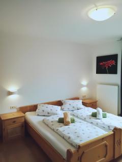 Gemütliche Wohnung 10 Minuten vom See entfernt - Zell am See - 7