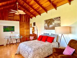 Magic Mountain Views Studio - Atenas - 0