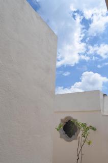 Hermosa Suite Privada en Casa Holística - Cuernavaca - 1