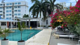 Le Castel Blanc Hotel Boutique - San Andrés - 4
