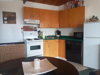 Village Center 2 bedroom Condo - Big White - 1