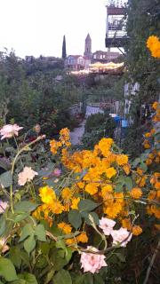 Abramichi Guest House - Sighnaghi - 5