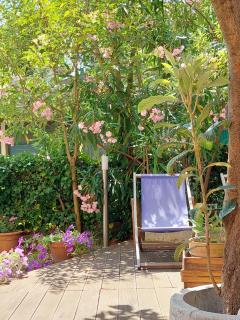 Albamare - Monterosso al Mare - 1