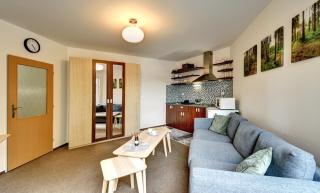 Apartmán Modrá hvězda - Rokytnice nad Jizerou - 5