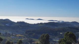 Tulips Valley View Resorts - Ooty - 8