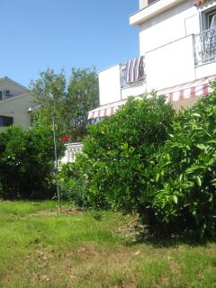 Apartments Grzunov - 1