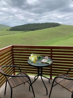 Zlatibor Hills Stars - 3