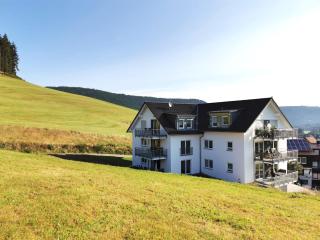 Fuchsbau - Baiersbronn - 8