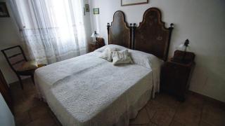 Palazzo Falzacappa - Canino - 9