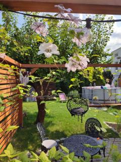 Lawendowo- sauna, basen, domki w ogrodzie i apartamenty w kamienicy - 2