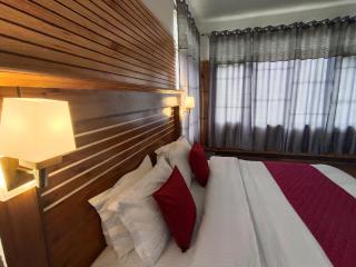 Hotel Blue Pine - Kyelang - 3