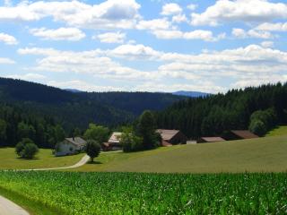 Ferienhof Schmalzgrub - Böbrach - 5