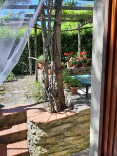 La casa in giardino - Volterra - 1