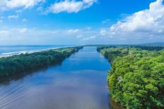 Tortuga Lodge - Tortuguero - 6