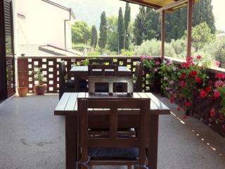 Apartments Viktorija - Petrovac na Moru - 9
