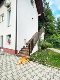 Hotel Guesthouse Stari Jasen - Zagabria - 5