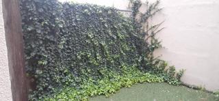 Luxury Suite Edificio Avadell- Bellavista-Quito - 5