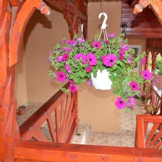 Pensiunea Fábián Vendégház - 3