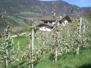 Schiedhof - Castelrotto - 5
