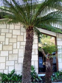 Santiago Family House - Sever do Vouga - 7