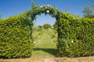 Odina Agriturismo - 3