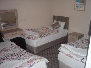 Hotel Pamukkale - Pamukkale - 2