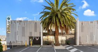 Areca Launceston - Launceston - 0