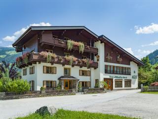 Appartement Andrea Hauser - Riedltischler - Zell am Ziller - 9