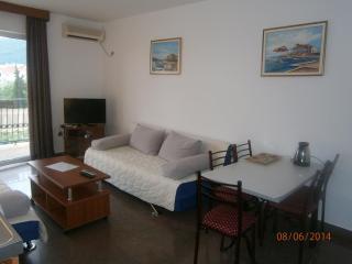 Mijovic Apartments - 9