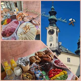Apartmány Svätá Barborka - Banská Štiavnica - 9