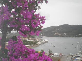 Babis - Skiathos-stad - 8