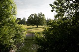 La Légende - Les Bois - 2