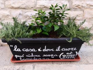 ROBERTO's Guest House - 3