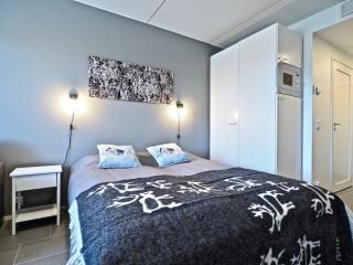Lomavuokra apartments Skistar - Levi - 1
