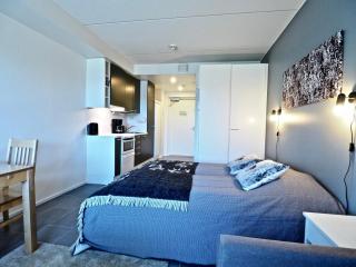 Lomavuokra apartments Skistar - Levi - 2