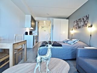 Lomavuokra apartments Skistar - Levi - 4