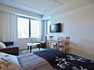 Lomavuokra apartments Skistar - Levi - 7