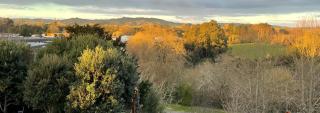 Modern apartment- rural outlook, central Cambridge - Cambridge - 8
