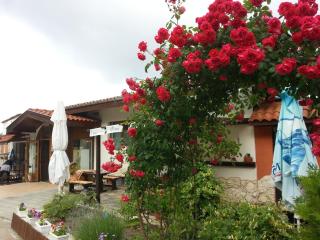 Sea View Family Hotel - Kranevo - 0