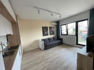 Diamond Luxury Apartment Near Presidential Palace - Bucarest - 6